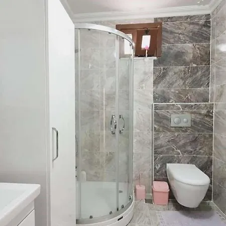Apartment Kolcak